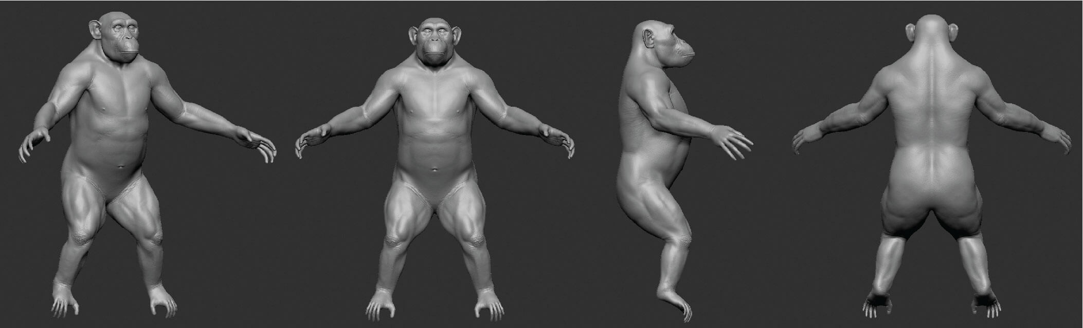 Front and lateral views of whole sculpted chimpanzee in Zbrush