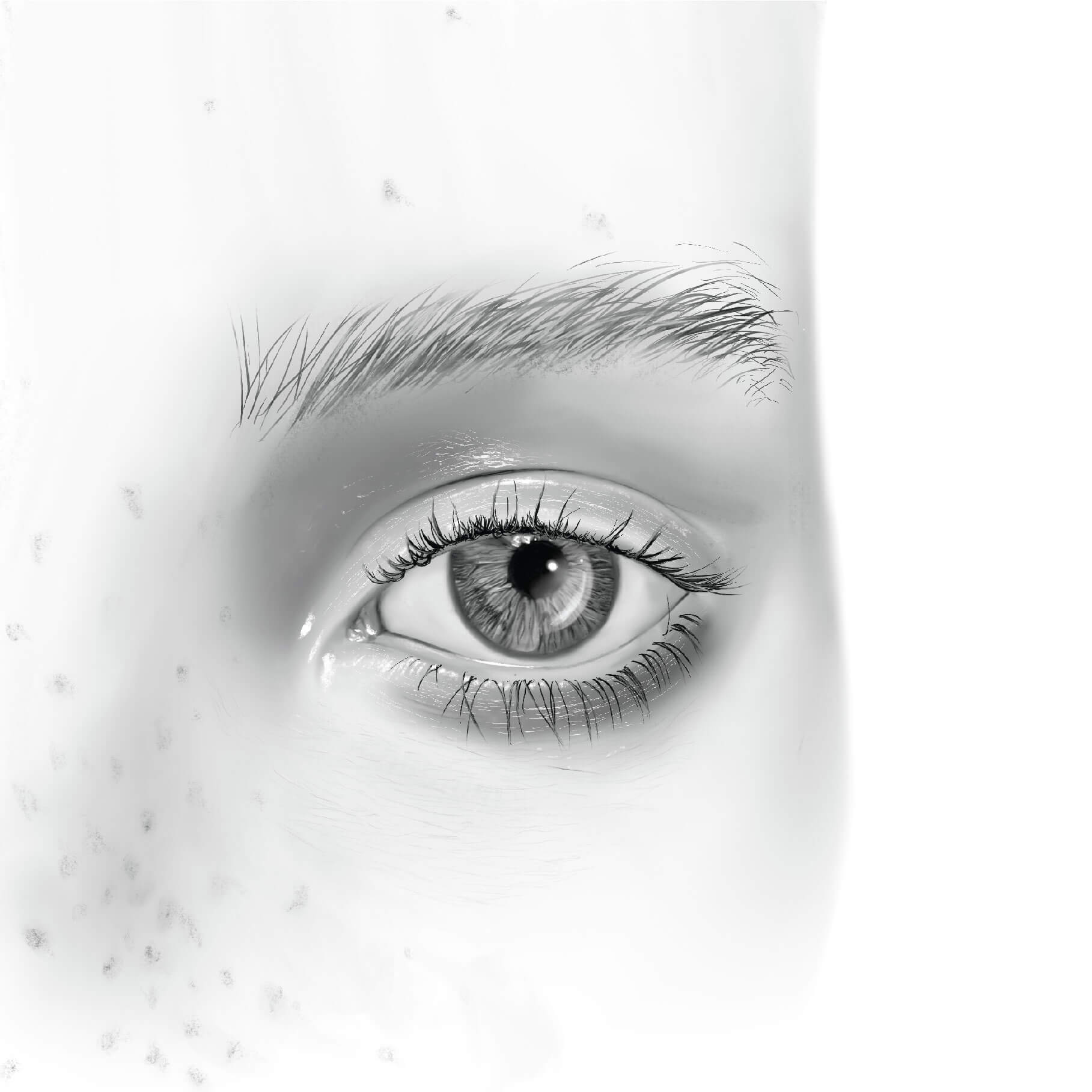 2D Drawing of human eye