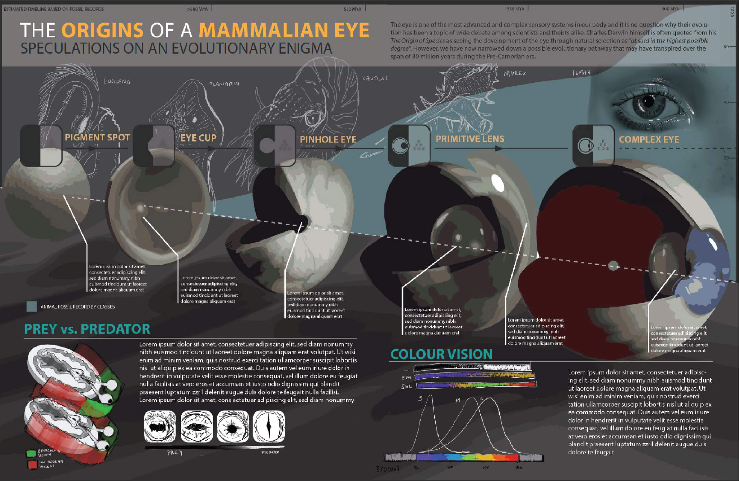 Infographic Layout #1