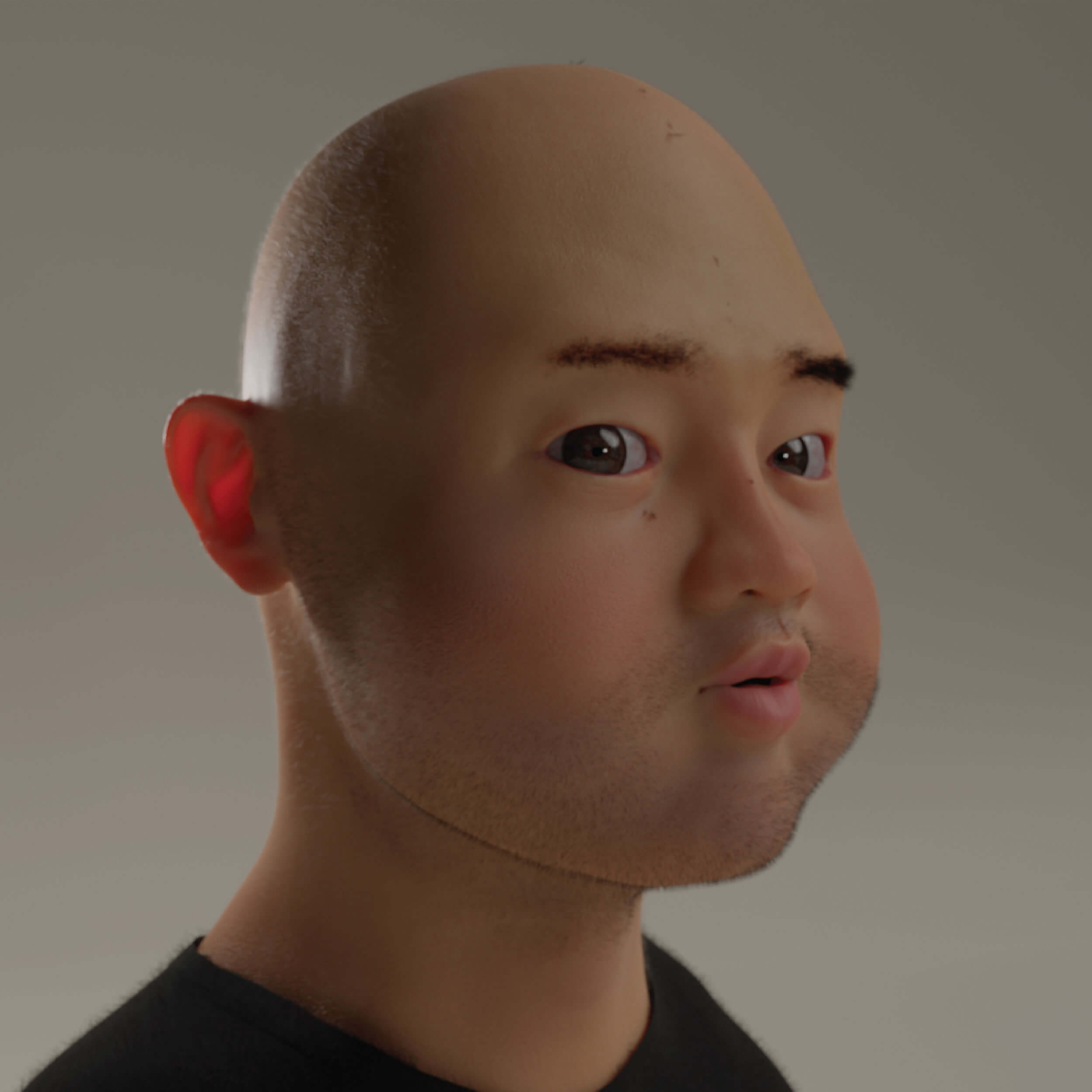 Thumbnail for Human bust 3D studies