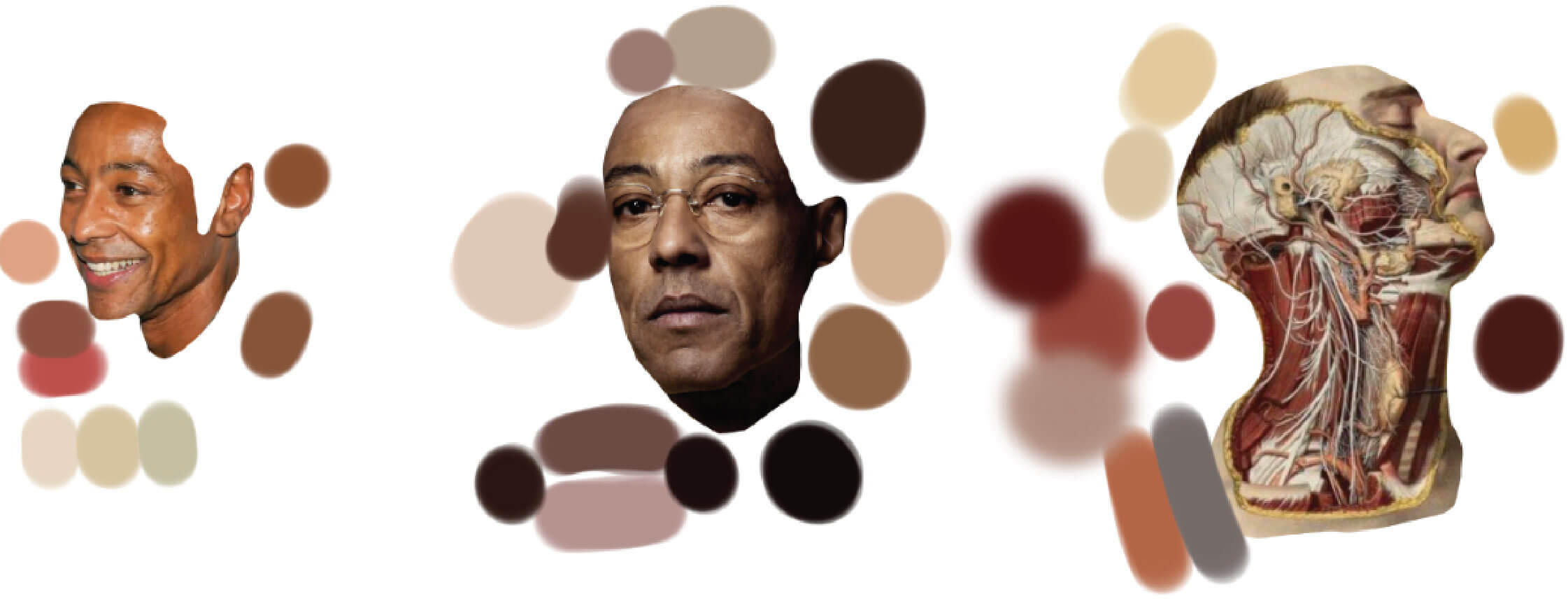 Color pallete inspirations from Giancarlo Esposito and Joseph Henri Jacobs