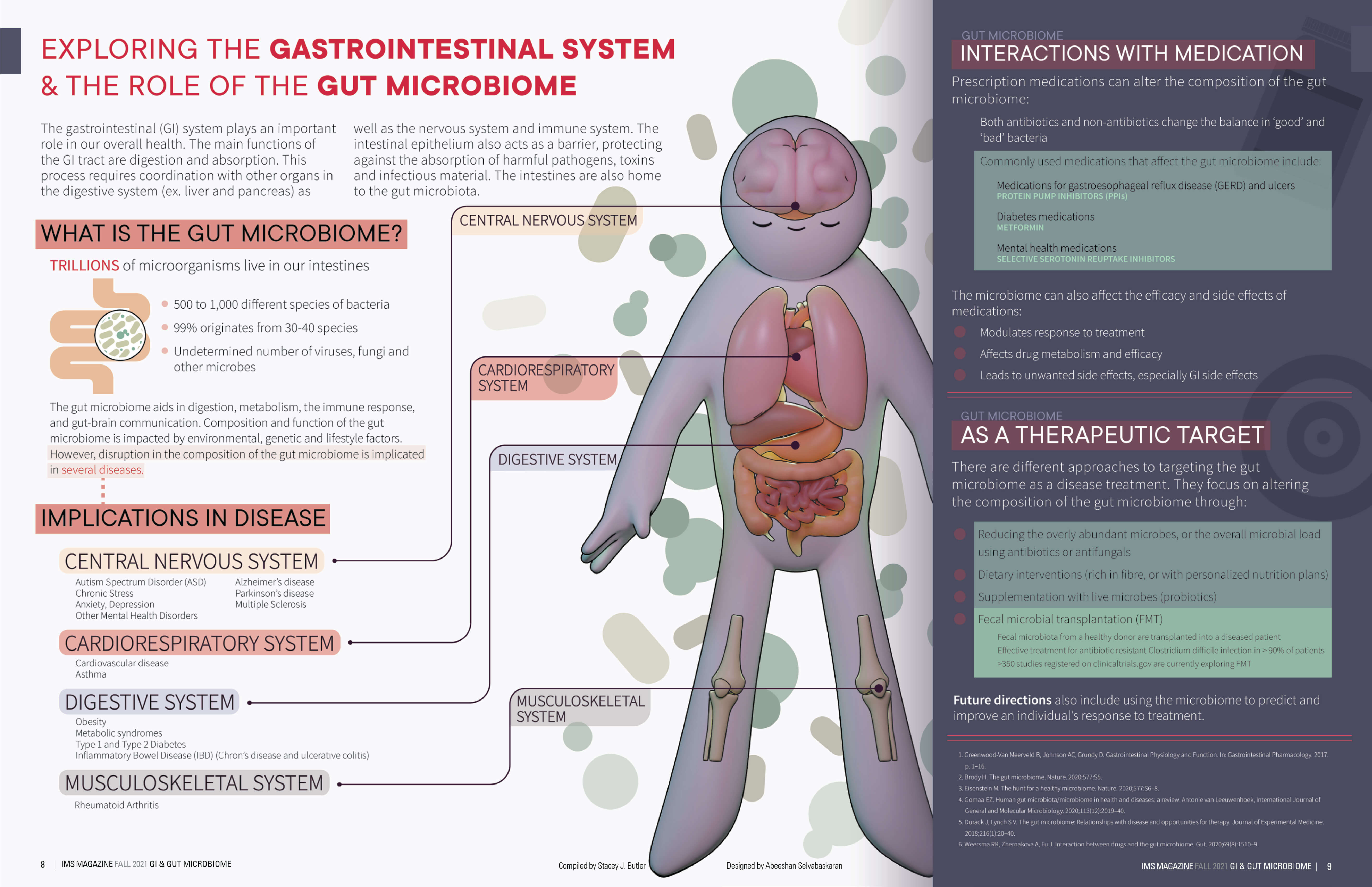 Final infographic on the gut microbiome