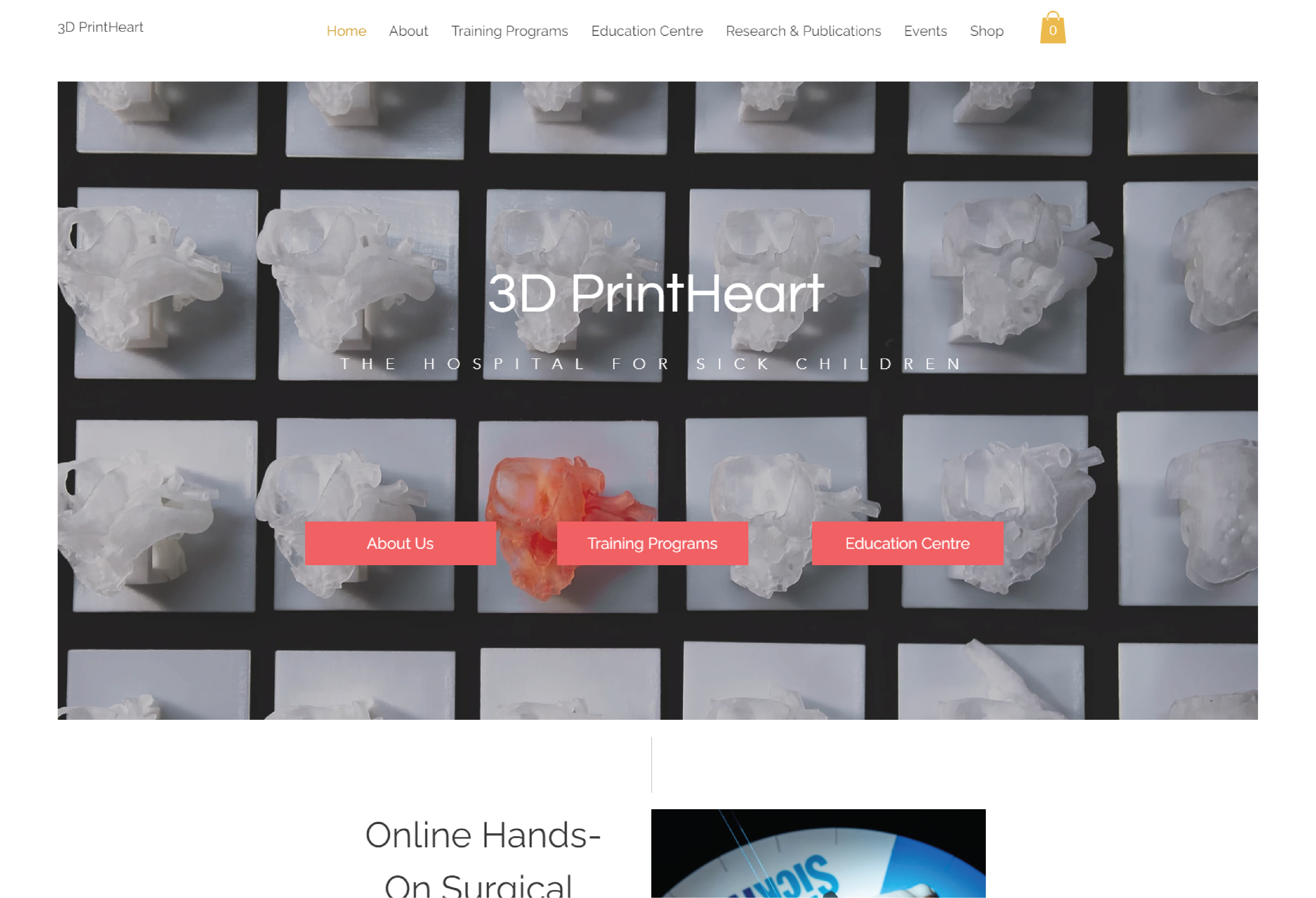 Screenshot of current 3DPrint Heart Website