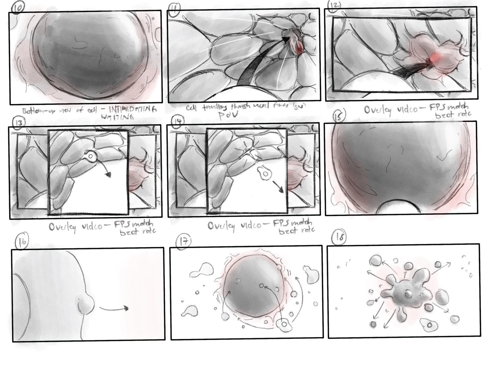 Storyboard 2