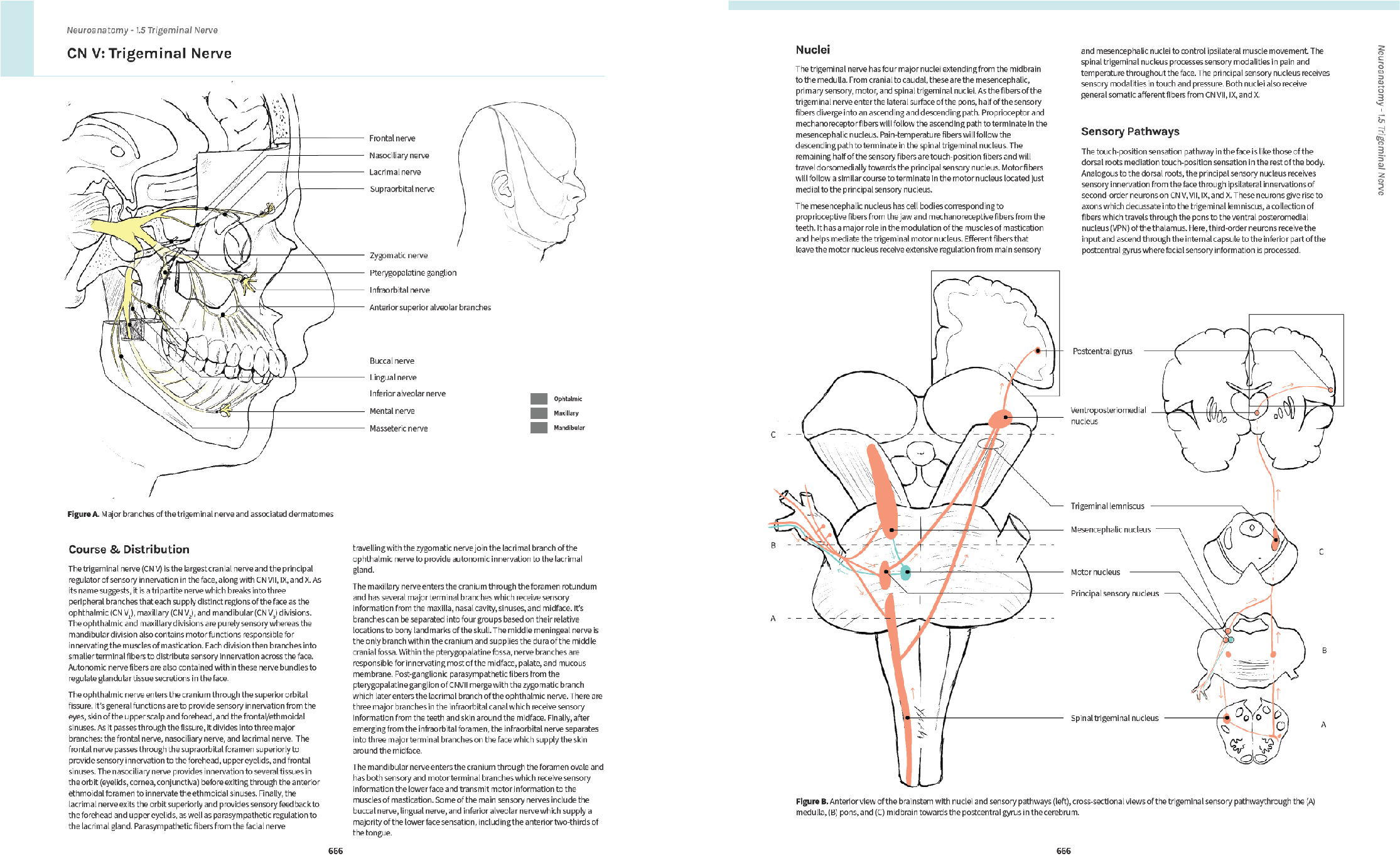 Final Linework for CNV spread