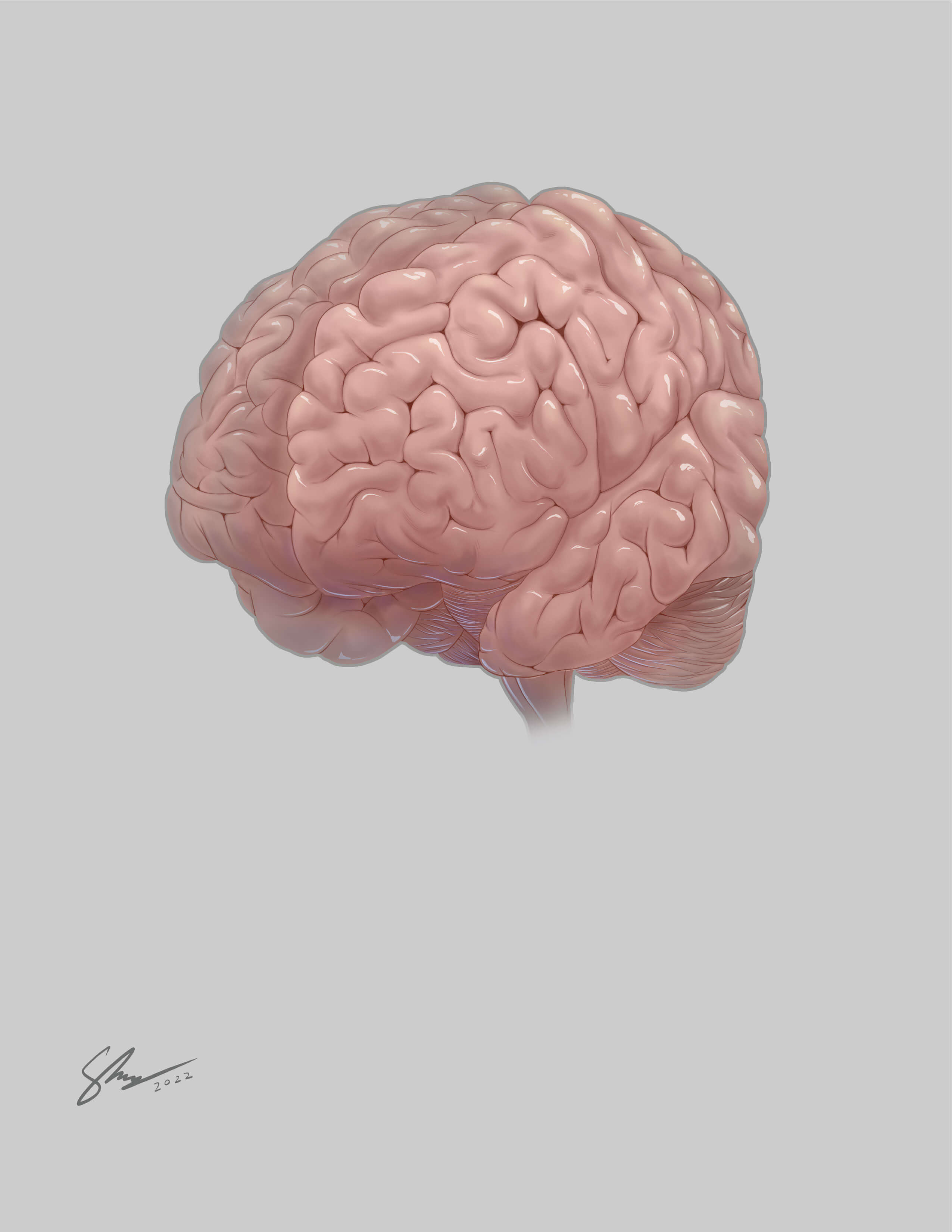 Final illustration of solo brain