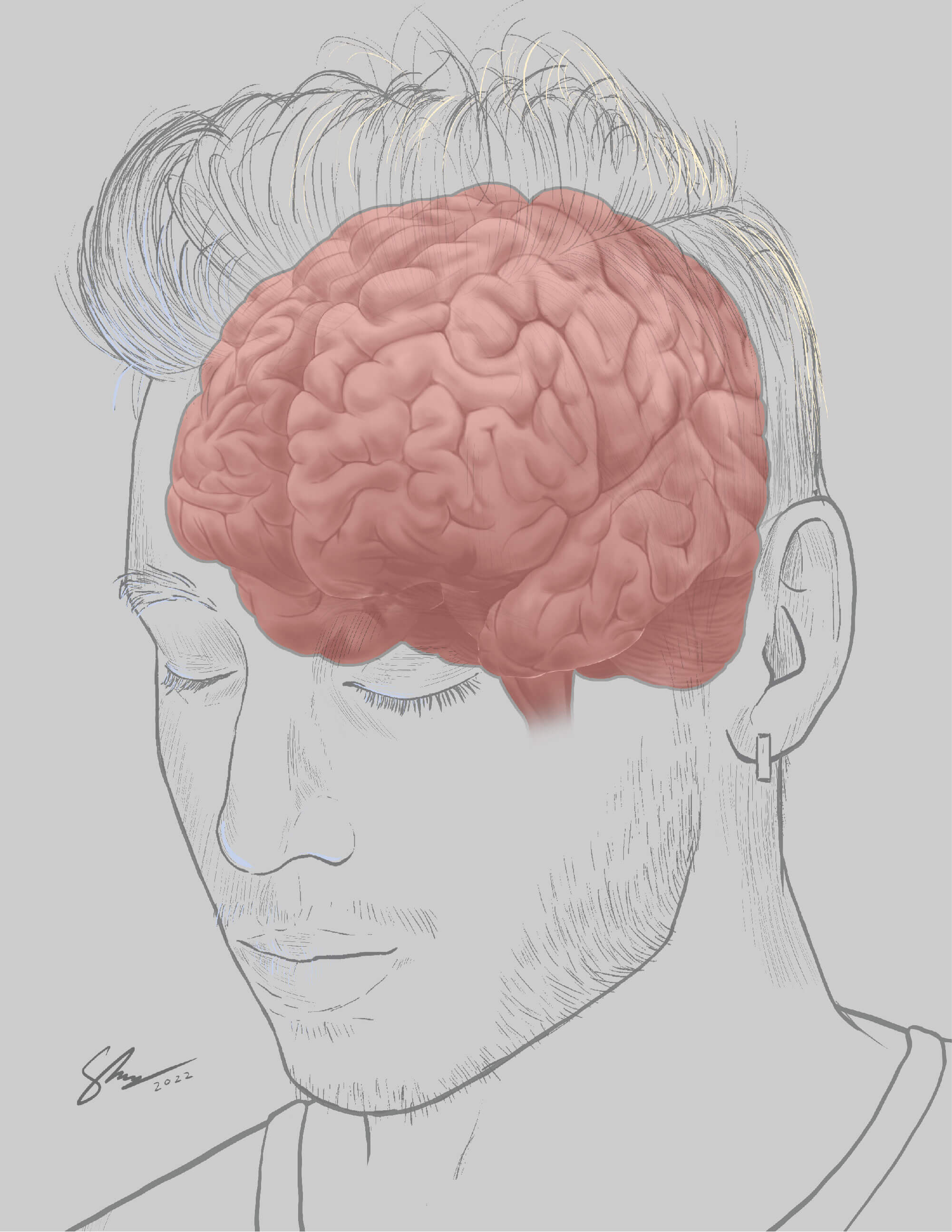 Brain rendering progress 2 - gyri basic shading