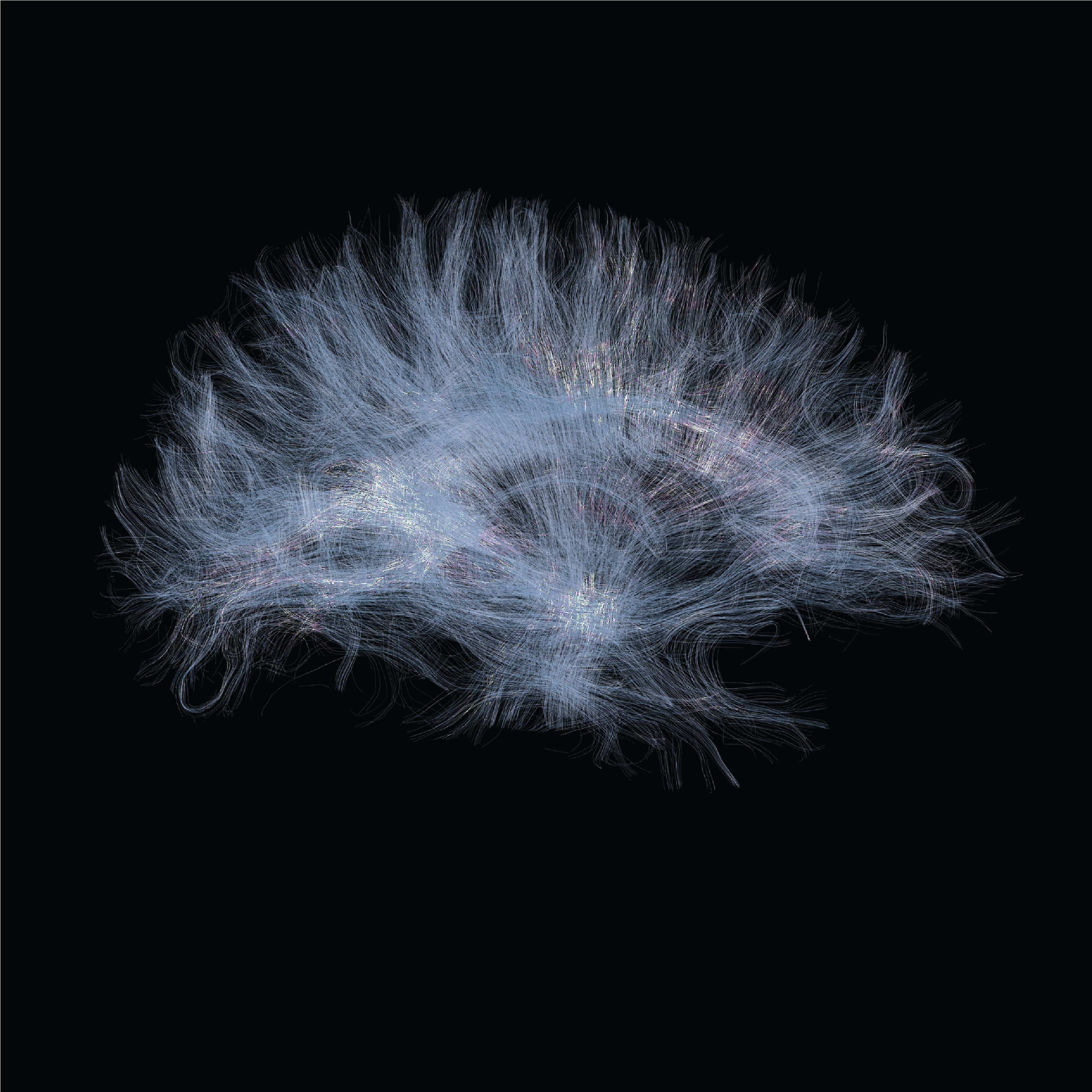 Tractography Final render 1